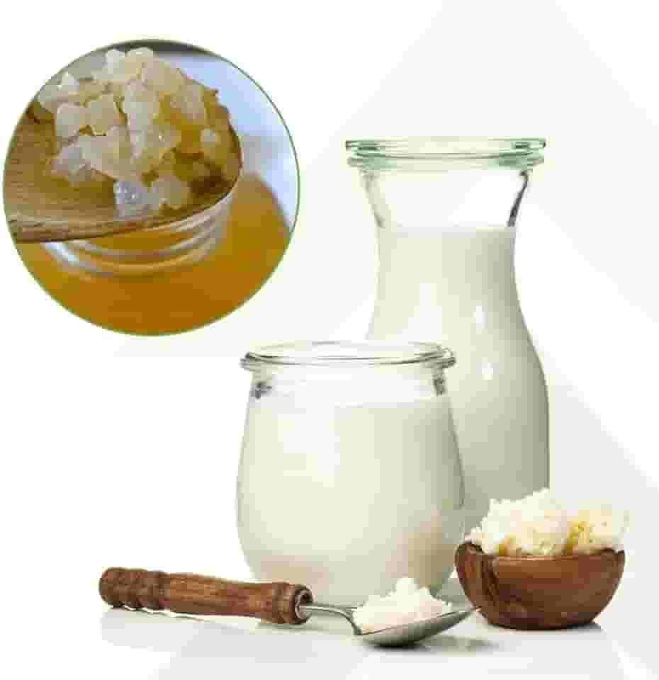 Kit Kefir de Leite + Kefir de Agua + Iogurte Infinito Probioticos Mudas Grãos Com Assessoria