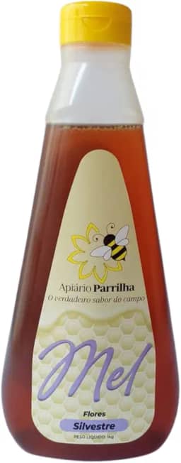 Mel Líquido de Abelha Silvestre Puro 100% Natural - Bisnaga 1Kg