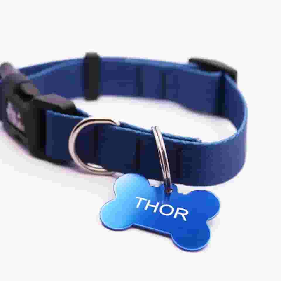 Coleira Cachorro Yoo Pets e Plaqueta Identificação Nome e Telefone PETS (PP (21 a 30 cm))