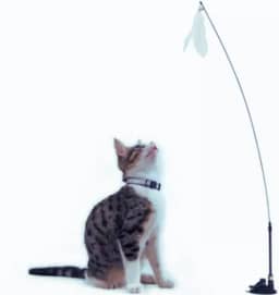 Brinquedo para Gato Varinha Interativo Com Ventosa