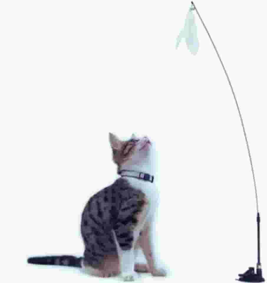 Brinquedo para Gato Varinha Interativo Com Ventosa