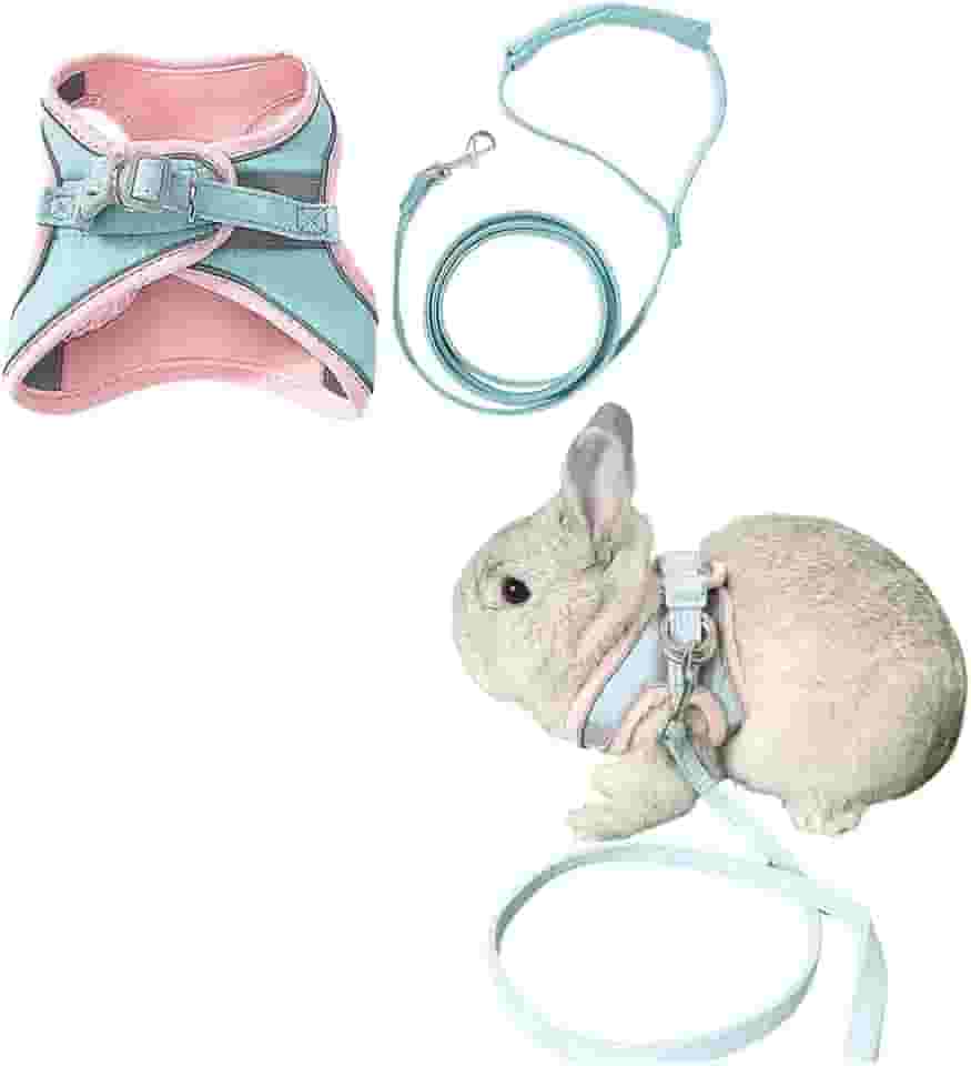 Peitoral e coleira de coelho ajustável à prova de fuga para caminhada, corrida, acampamento, ao ar livre, conjunto de coleira para animais pequenos (pequeno)