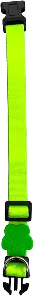 MY PET BRASIL Coleira Neon Para Cachorros P Coleira Ajustável Passeio E Viagem Confortável E Resistente Verde