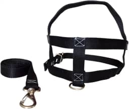 MY PET BRASIL Peitoral Para Cachorros N°4 Ajuste Fácil No Corpo Do Pet Nylon Coleira Peitoral Regulável Confortável E Resistente Preto