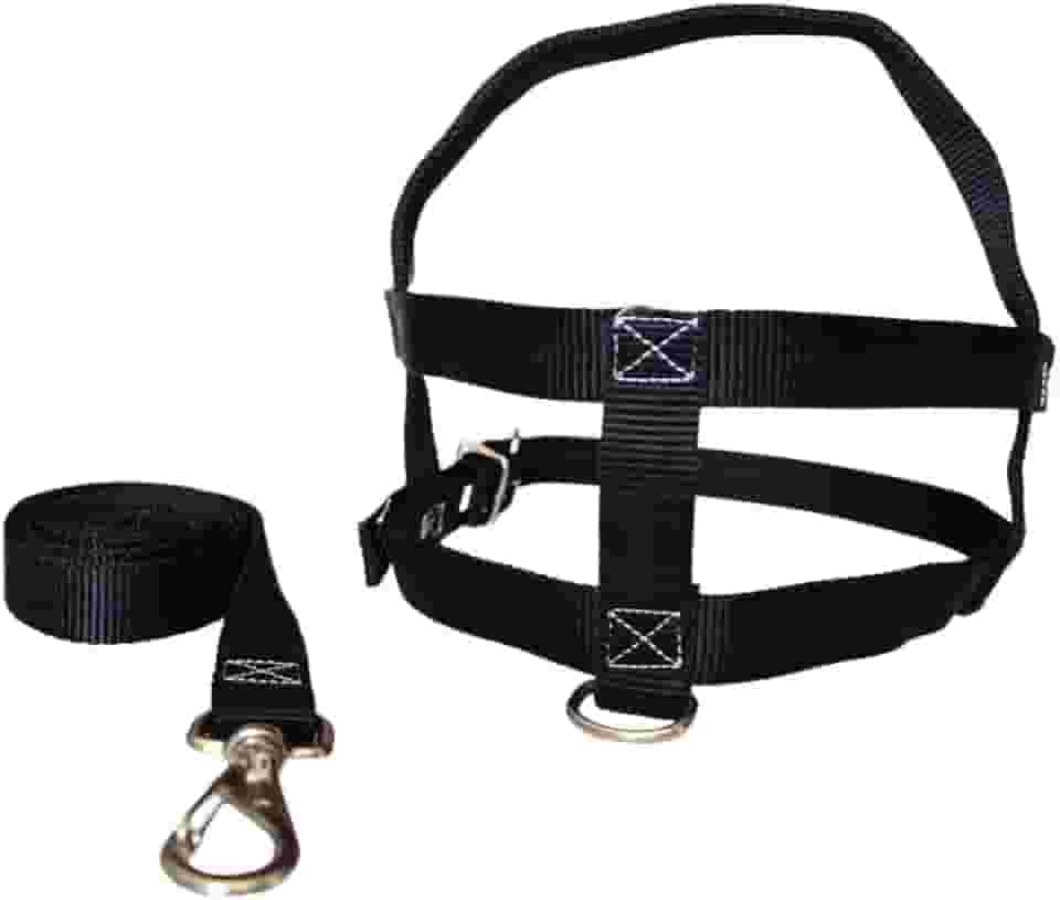 MY PET BRASIL Peitoral Para Cachorros N°4 Ajuste Fácil No Corpo Do Pet Nylon Coleira Peitoral Regulável Confortável E Resistente Preto