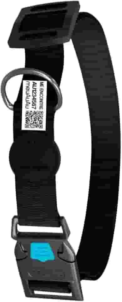 Coleira Com Identificação - Localizador - Qr Code - Com Nome Do Pet - Cães (Black, M)