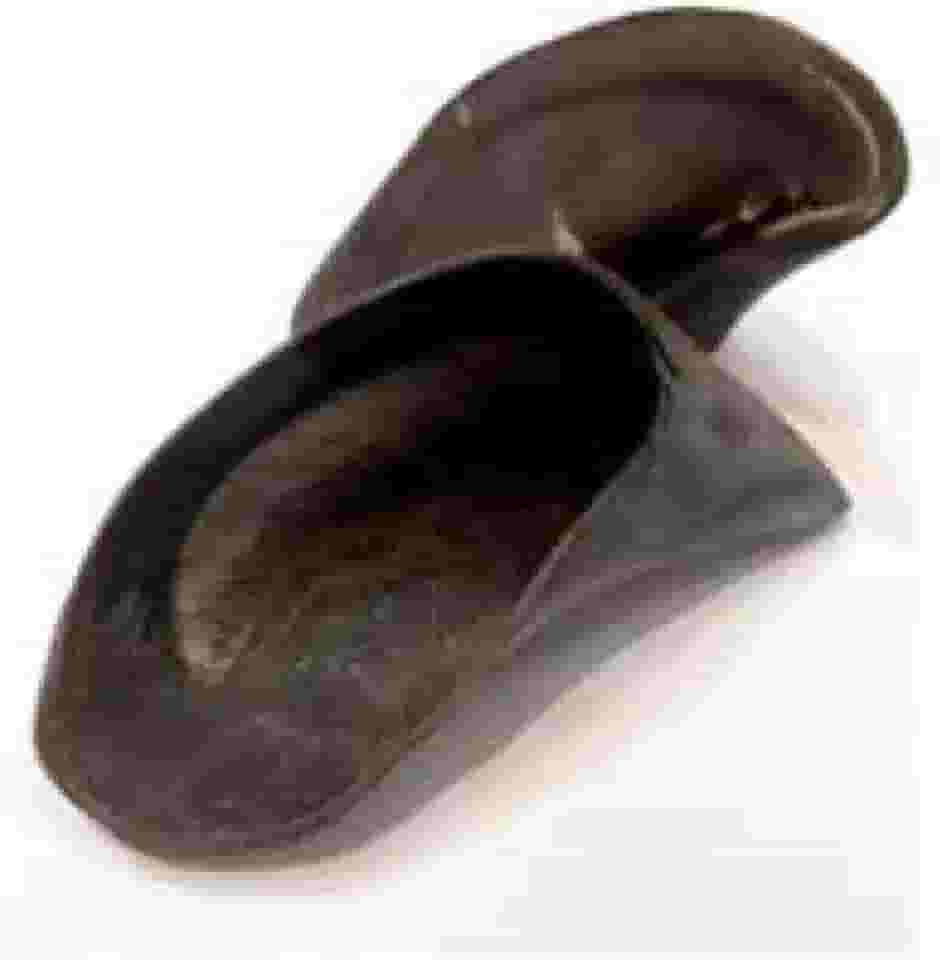 Casco Bovino Natural para Cachorro Brinquedo de Roer que Limpa Dentes 2 Unidades