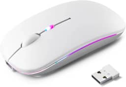 Mouse Sem Fio Recarregável, Ergonômico, com Led RGB, Conexão Dual Bluetooth 5.0/USB 2.4GHz, DPI Ajustável, perfeito para Notebook, Laptop,PC, Desktop, Silencioso (Branco)