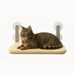 Cama Gato Suspensa Janela Ventosa Rede Caminha Conforto Pet (Bege, Grande)