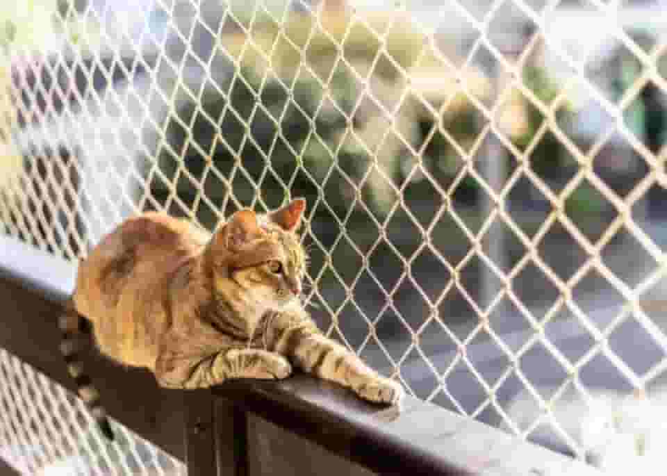 Kit Completo Rede Tela De Proteção Para Sacadas Janelas Gatos Crianças - 1m X 0,8m