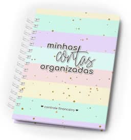 Planejador Financeiro - Minhas Contas Organizadas Capa Dura Pastel