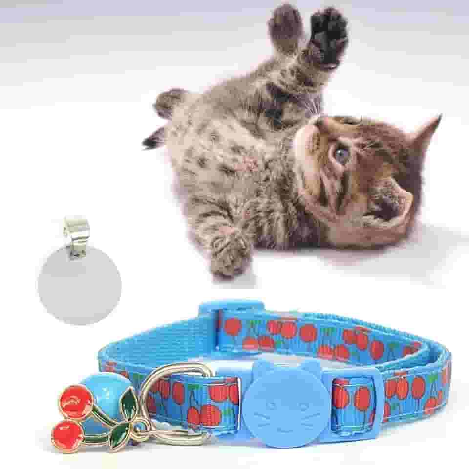 Coleira Ajustável para Gato, Cachorro e Pets Pequenos, com Plaquinha de Identificação em Aço Inoxidável Gravada a Laser (Azul)