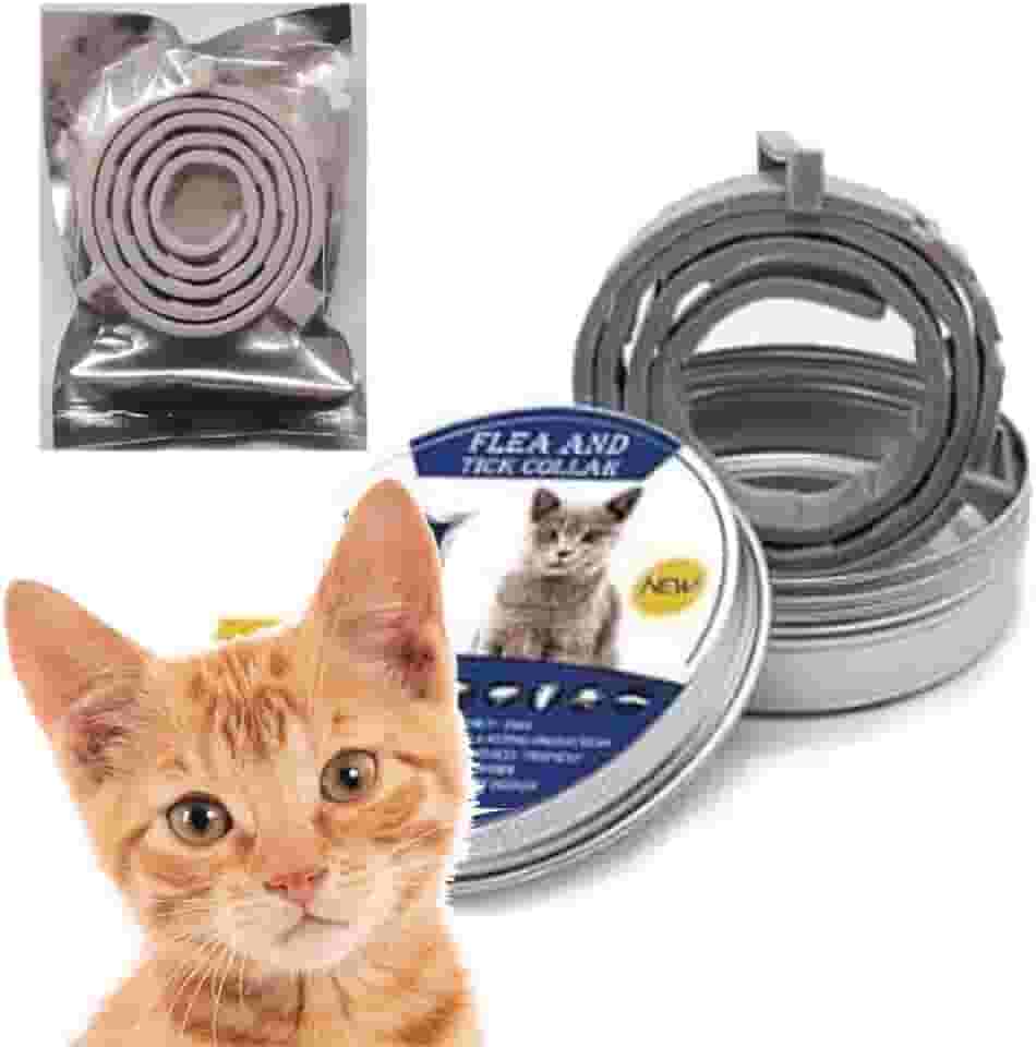 Coleira Antipulgas para Gatos - 39cm – Proteção de até 8 Meses + Lata de Alumínio – Natural com Óleos Essenciais - Coleira repelente - Coleira contra pulgas e carrapatos - Ajustável - Hipoalergênica