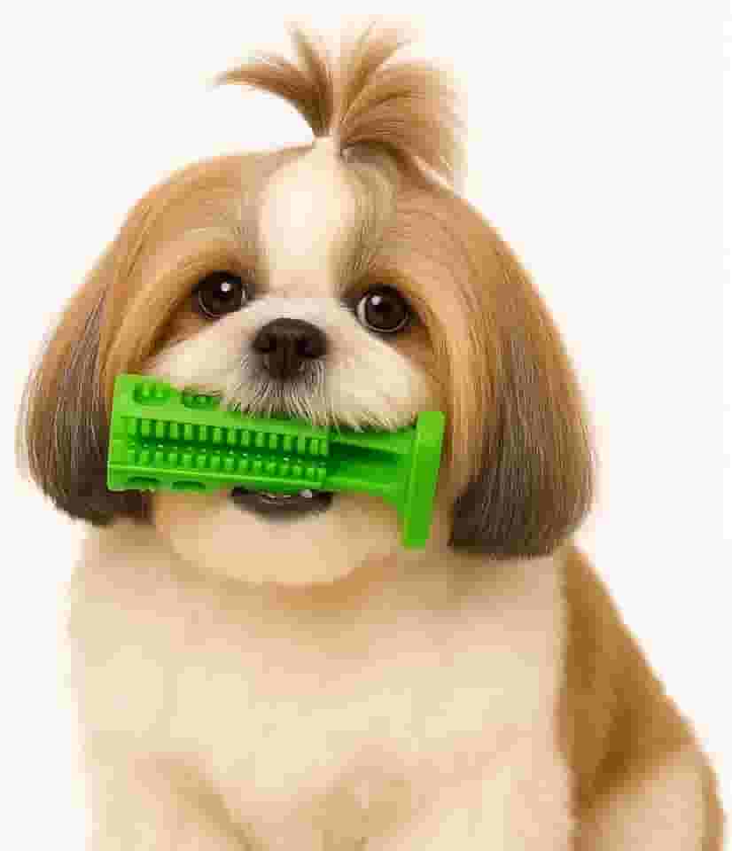 Mordedor Escova de Dentes Brinquedo Dental Pet.