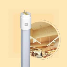 Kit 25 Lâmpadas Led Tubular 9w 60cm T8 Branco Quente (Amarelo) 3000k Bivolt Base G13