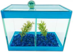 Aquário Beteira Dupla Decorado 17x9x13 1,9L 2 Peixes Betas (Azul)