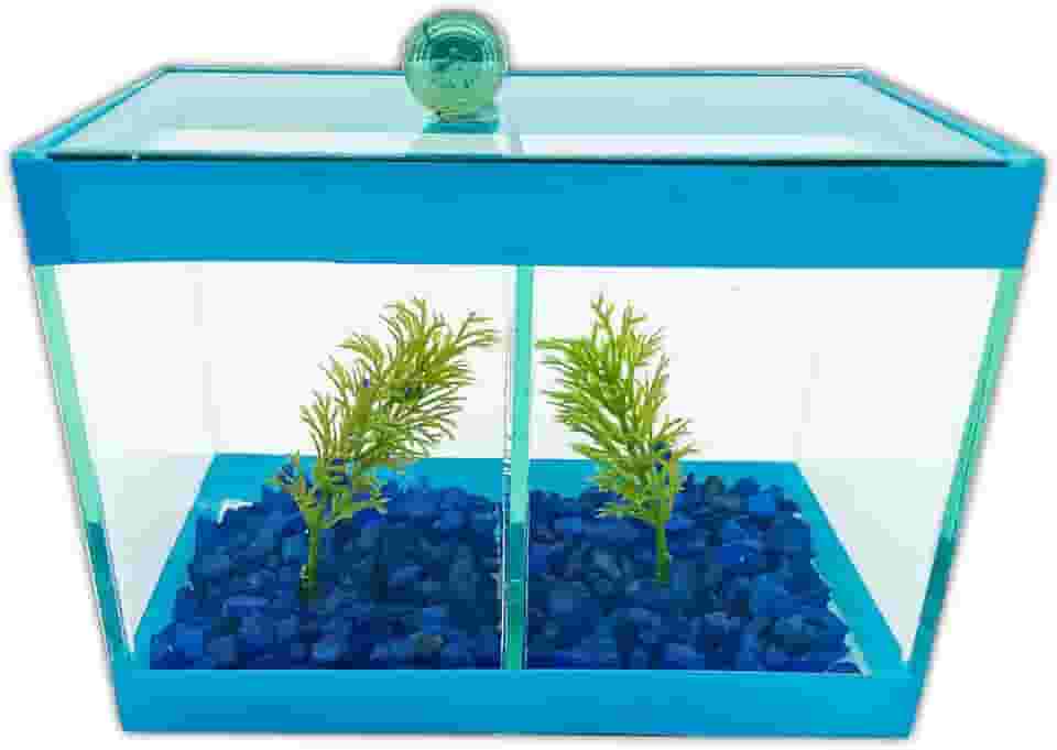 Aquário Beteira Dupla Decorado 17x9x13 1,9L 2 Peixes Betas (Azul)