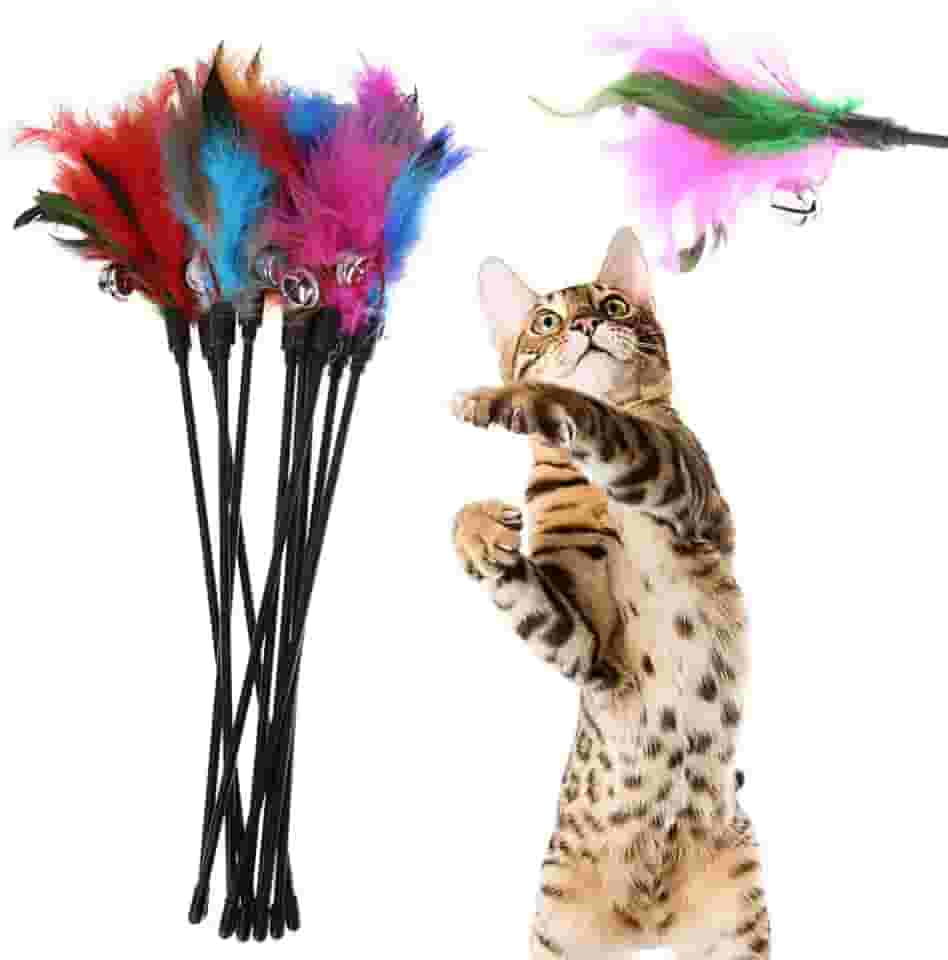 Varinha para gatos Brinquedo Interativo Vara pra Gato Sisal Colorida Penas Plumas Varios Modelos (Penas Coloridas com Guizo Sortida)