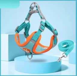 Coleira Peitoral para cachorro pequenos e médios com guia para pet colete confortável (Azul, 2-3 KG)