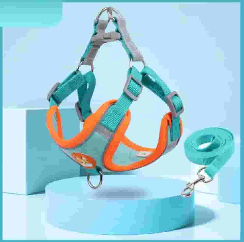 Coleira Peitoral para cachorro pequenos e médios com guia para pet colete confortável (Azul, 2-3 KG)