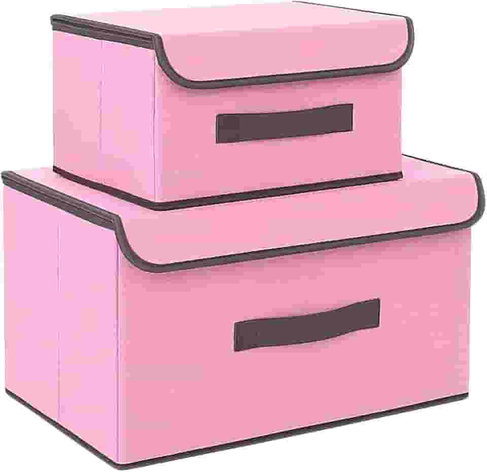 Kit 2 Caixas Organizadoras para Guarda-Roupa e Armário com Tampa | Multiuso, Dobrável, Empilhável e Antipoeira (Rosa)