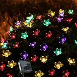 Pisca Pisca Led Solar 9,5 Metros 50 Luzes Decoração Externa A Prova D'Agua (Flor de Cerejeira, 2,5cm)