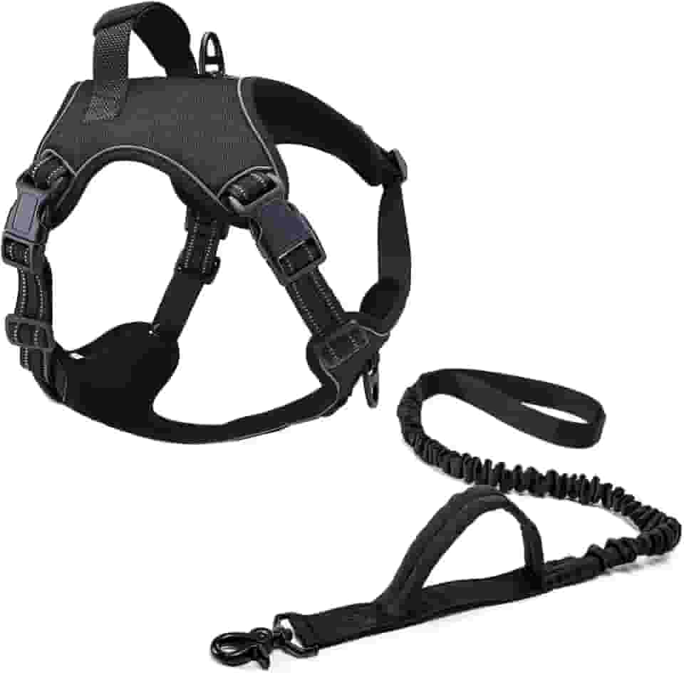 Coleira Peitoral Power + Guia Elástica Cachorro MADOG Tamanho:G;Cor:Preto