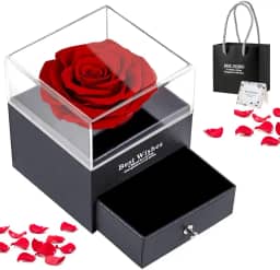 Rosa Eterna, Rosa Real Preservada, Caixa de Presente de Joias Flor de Rosa, Excluindo Joias, Rosa Imortal, Lindo Conjunto de Rosas Preservadas, Dia dos Namorados Presentes Feminino