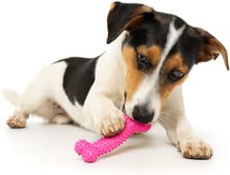 Kit 2 Ossos Massageador Médio Brinquedo Para Cachorros Interativo E Divertido Auxilia E Fortalece Os Dentes Cores Sortidas