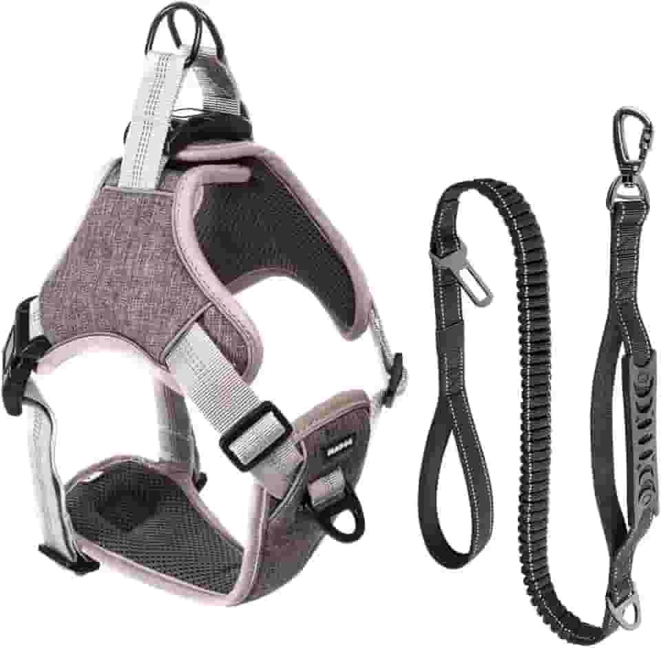 Coleira Peitoral e Guia Antipuxão Pet Cachorro MADOG Comfort (Cinza, G)