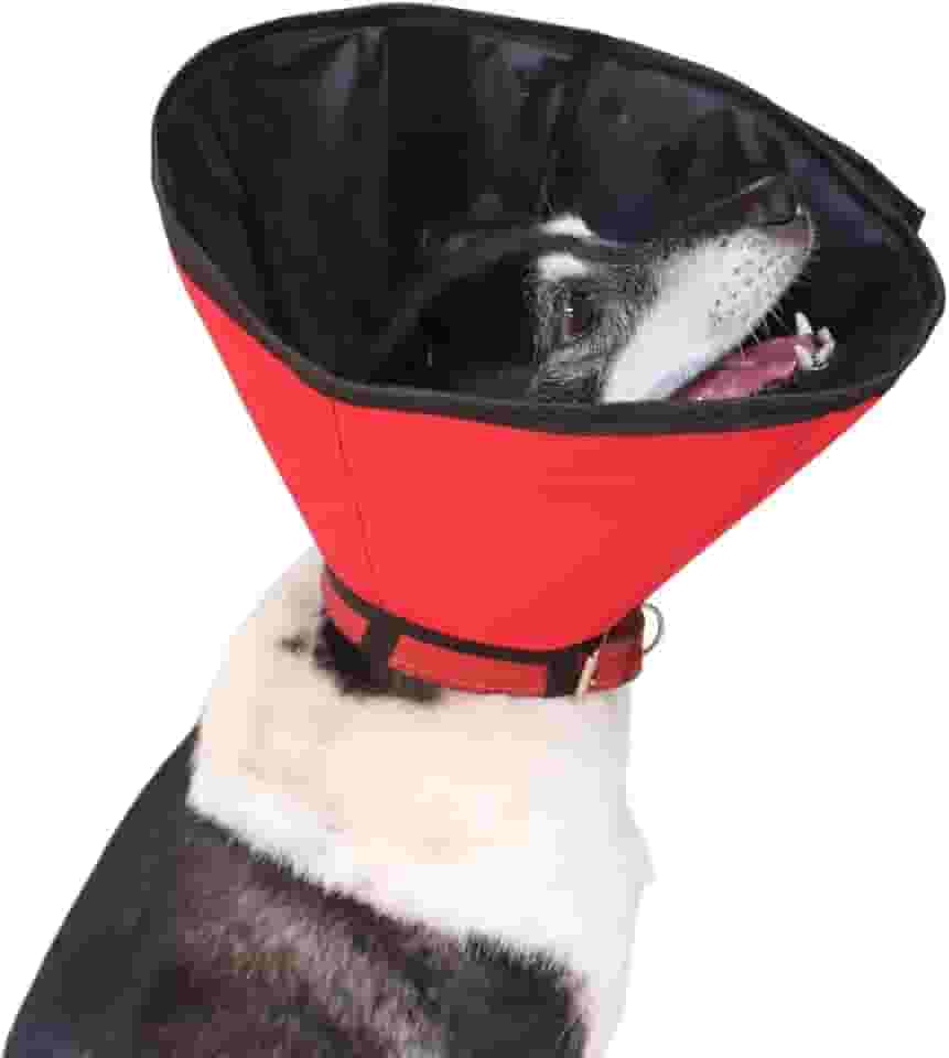 Colar Elizabetano Impermeável e Confortável Para Cães - Tam 02 - Pet Designer