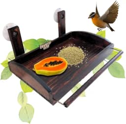Alimentador Bandeja Para Pássaros Livres Para Colocar Na Janela ou Parede Alimentador de Passarinho
