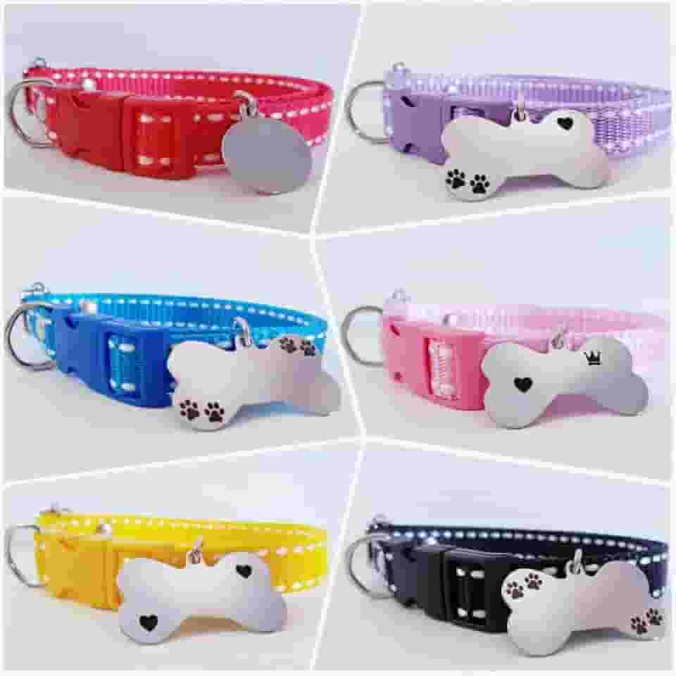 Coleira Para Cães Com Plaquinha de Identificação Personalizada (Azul Pontilhada-G (Plaquinha Ossinho))