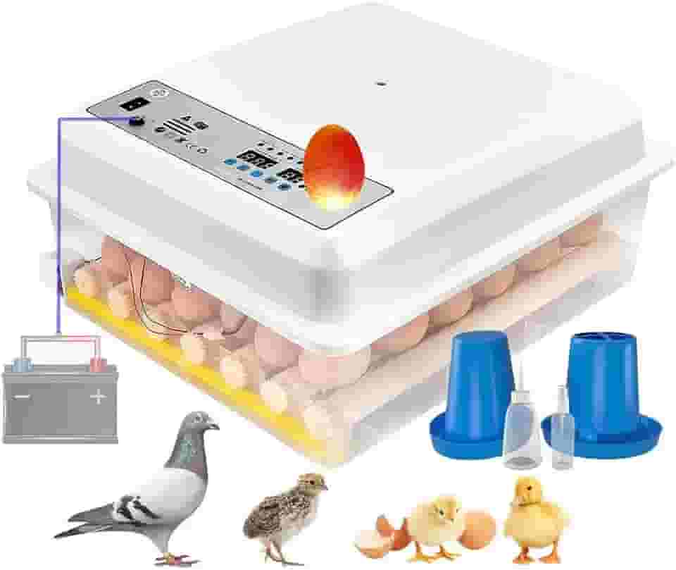 Chocadeira Incubadora 36 Ovos Automática com Virador, Controle de Temperatura e Umidade, Alimentação Dupla AC/DC (110V/12V) para Galinhas, Patos, Codornas e Aves