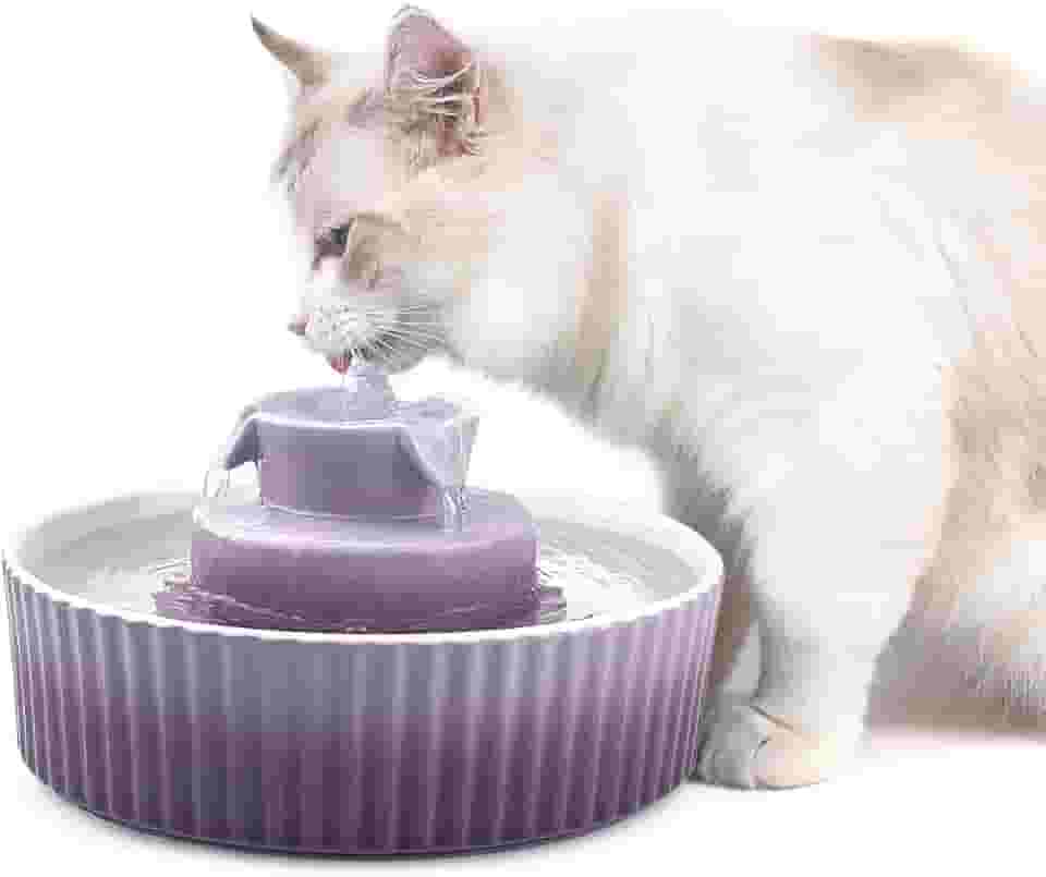 Cepheus Fonte de cerâmica para animais de estimação 360, fonte de água avançada de porcelana para gatos, tigela de 200 ml para gatos e cães com filtros de substituição e espuma (roxo)