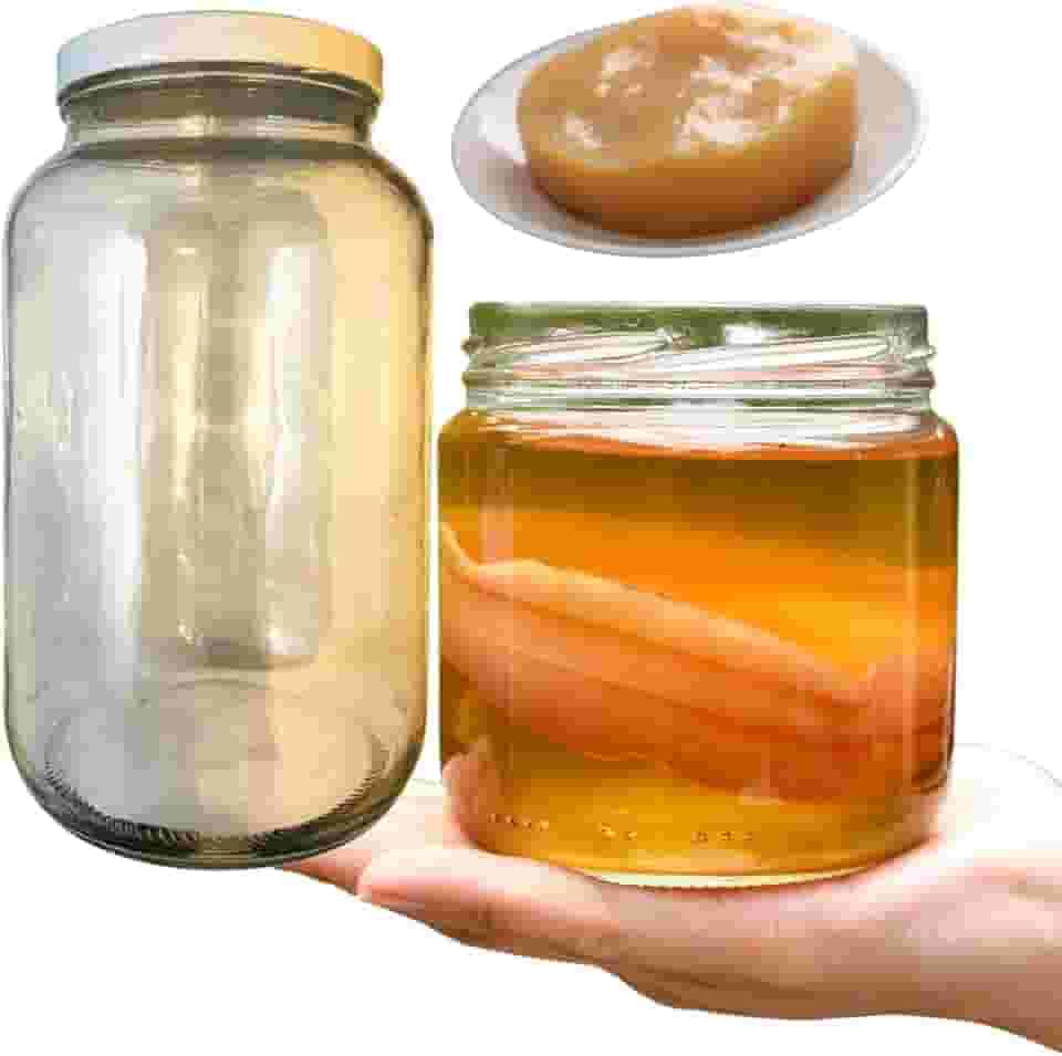 Scoby Kombucha Original + Vidro 3 Litros Para Fermentação