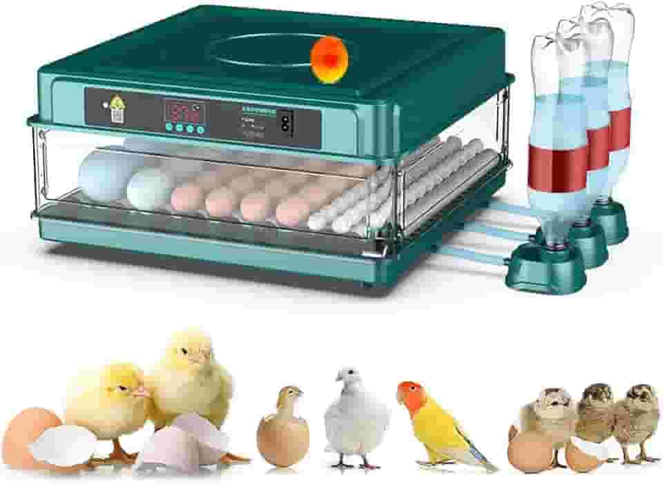 Incubadora Inteligente 72 Ovos, Temperatura Automática 100°F, Viragem Automática, Design com Laterais Transparentes, Material PP+ABS, para Ovos de Aves Variadas. (verde, 110V)