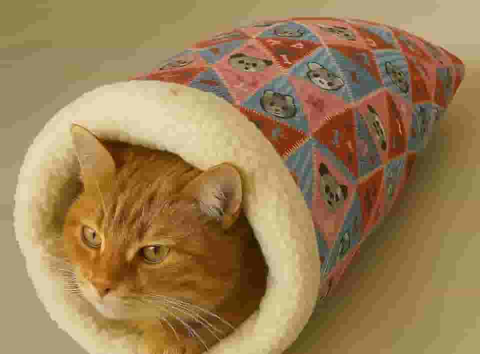 Caminha Toca para Gatos Sherpa Pelúcia 50x45cm – Cama Pet Quentinha e Confortável Tipo Saco de Dormir (Gatinha Rosa)