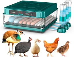 Chocadeira Incubadora Automática Bivolt Para 130 Ovos Certificada Pelo Inmetro Bt-400 Beltempo