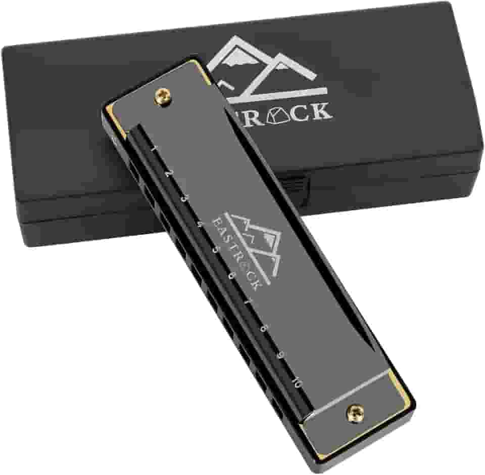 EastRock Blues Harmonica boca órgão 10 furos C chave com capa, gaita diatônica para jogadores profissionais, iniciantes, estudantes, adultos, amigos, presente preto