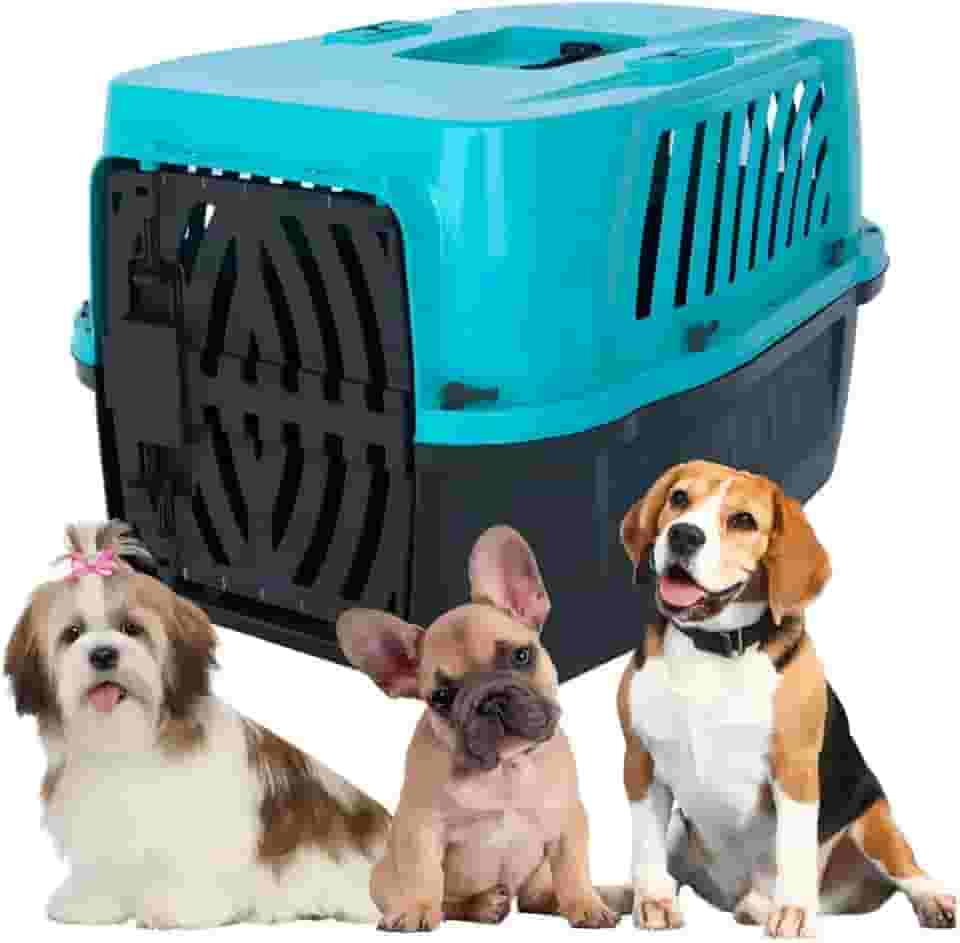Caixa Transporte Para Cães e Gatos Até 25kg | Viagem Aérea | Trava de Segurança Plástico Polipropileno Alvorada Pet (Azul, 1)