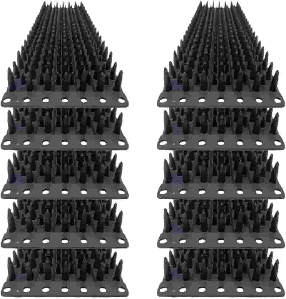 Espícula Espanta Pombos Gatos Inibidor Espinhos Muro 10pç/3m