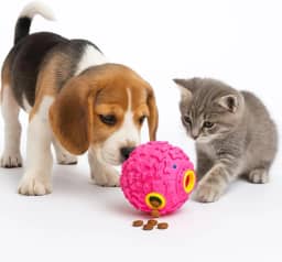 Brinquedo Pet Bolinha Bola Interativa Porta Ração Petisco Com Apito Para Cães Gatos Cachorros