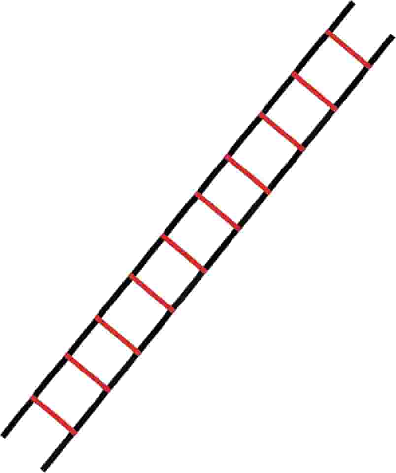 ESCADA DE AGILIDADE VERMELHA