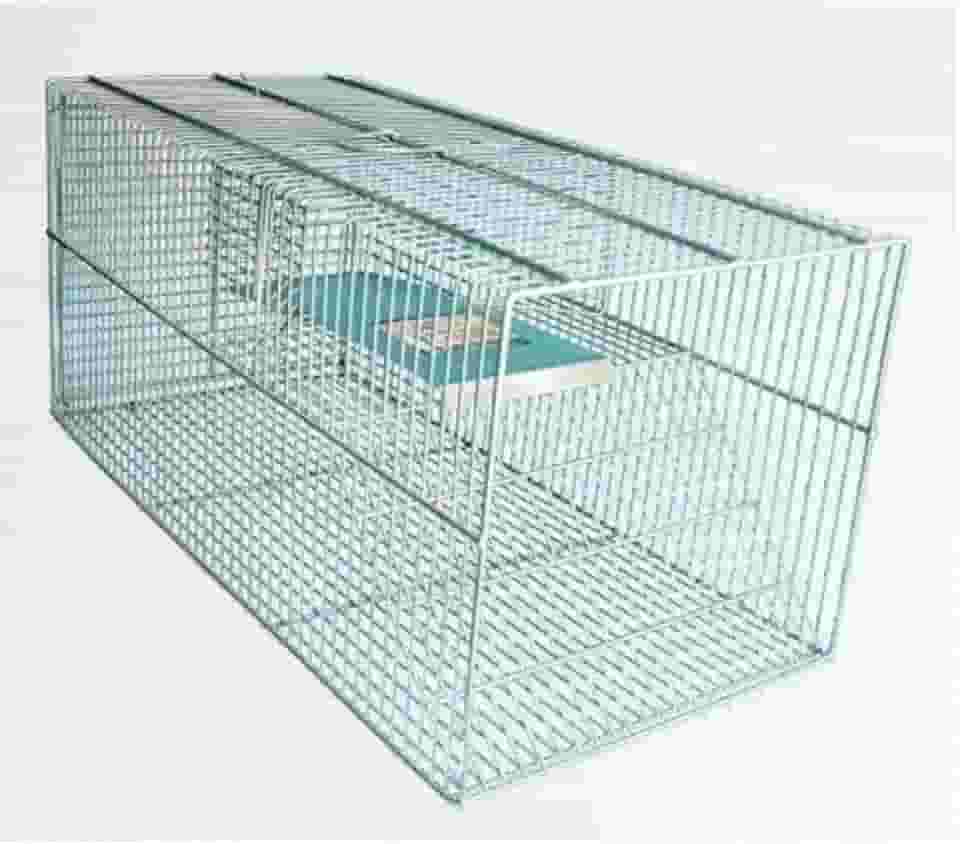 Ratoeira Gaiola de Captura para Ratos, Camundongos e Ratazanas