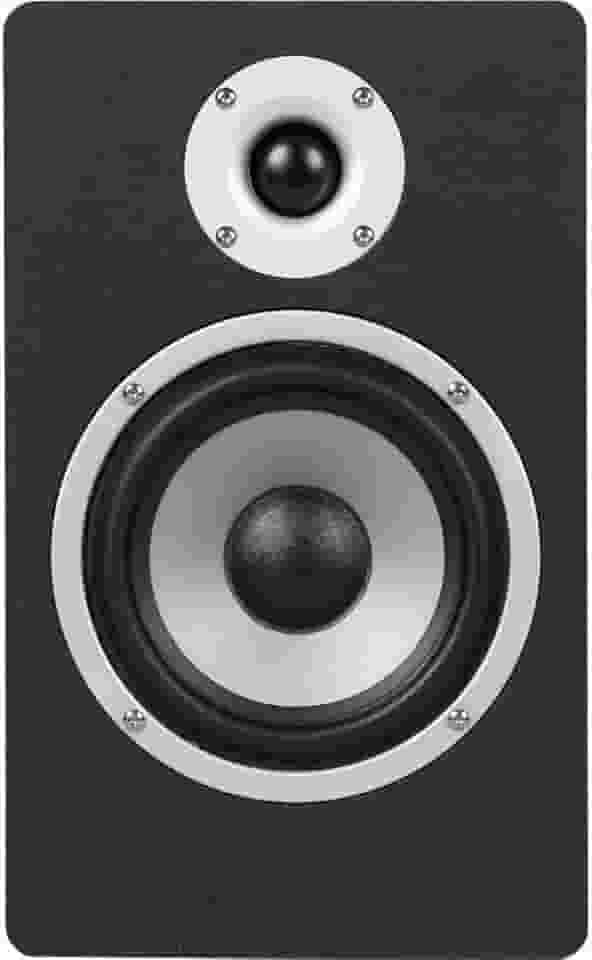 Monitor de Referência para Estúdio Bi-amplificado M50 HAYONIK