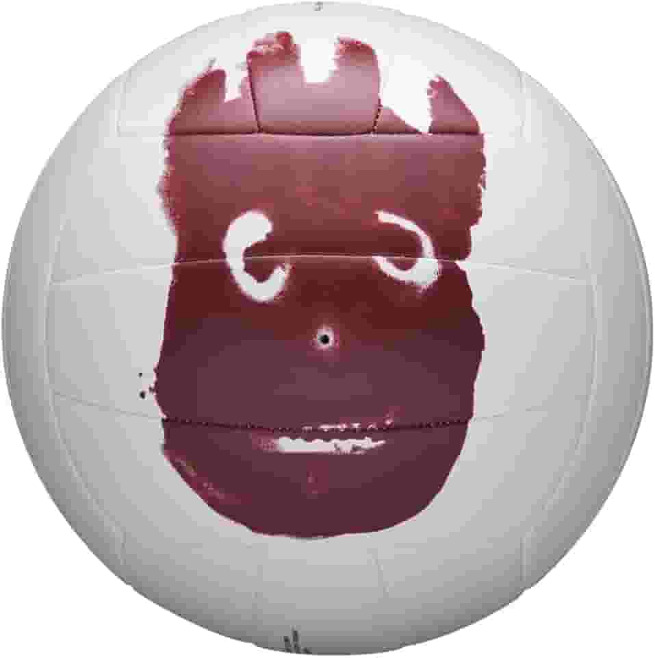 Voleibol Wilson Outdoor