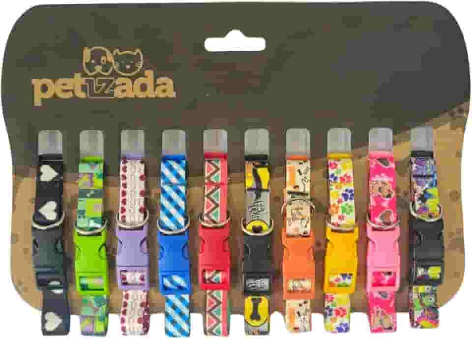 Coleira para pet cachorros filhotes de identificação cartela com 10 unidades