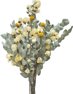Buquê de Flores Desidratadas Elegante Eucalipto de Cheiro