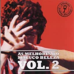 Raul Seixas - As Melhores Do Maluco Beleza Vol 2